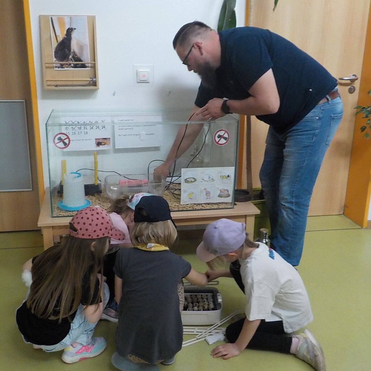 Drei Kinder hocken vor einem Terrarium, in dem ein Brutkasten steht. Rechts greift ein Mann in das Terrarium.