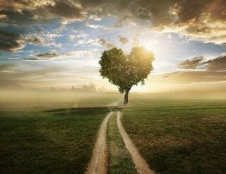 KIS Berlin-Pankow: Bindungsstörung, Selbsthilfegruppe für Betroffene