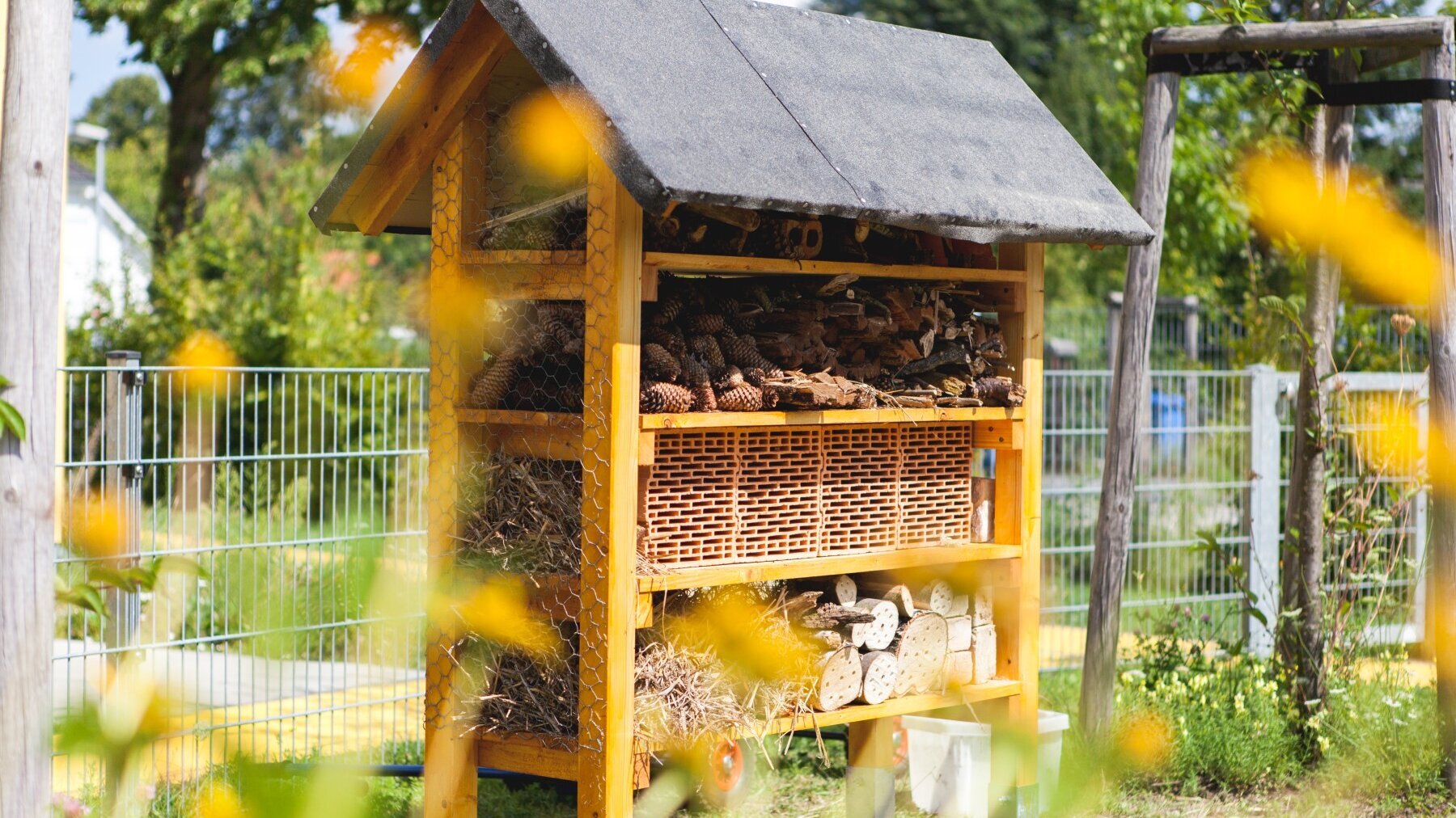 Foto Außenansicht Pflanzen Kita Verbindungsweg