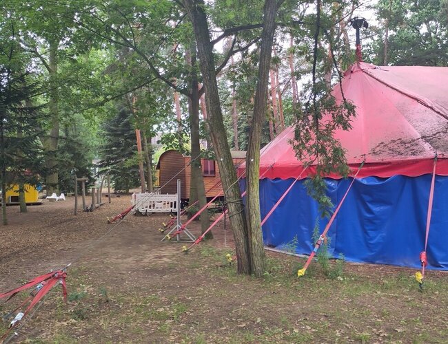 rot-blaues Zirkuszelt steht hinter einem Baum und vor einem Bauwagen aus Holz