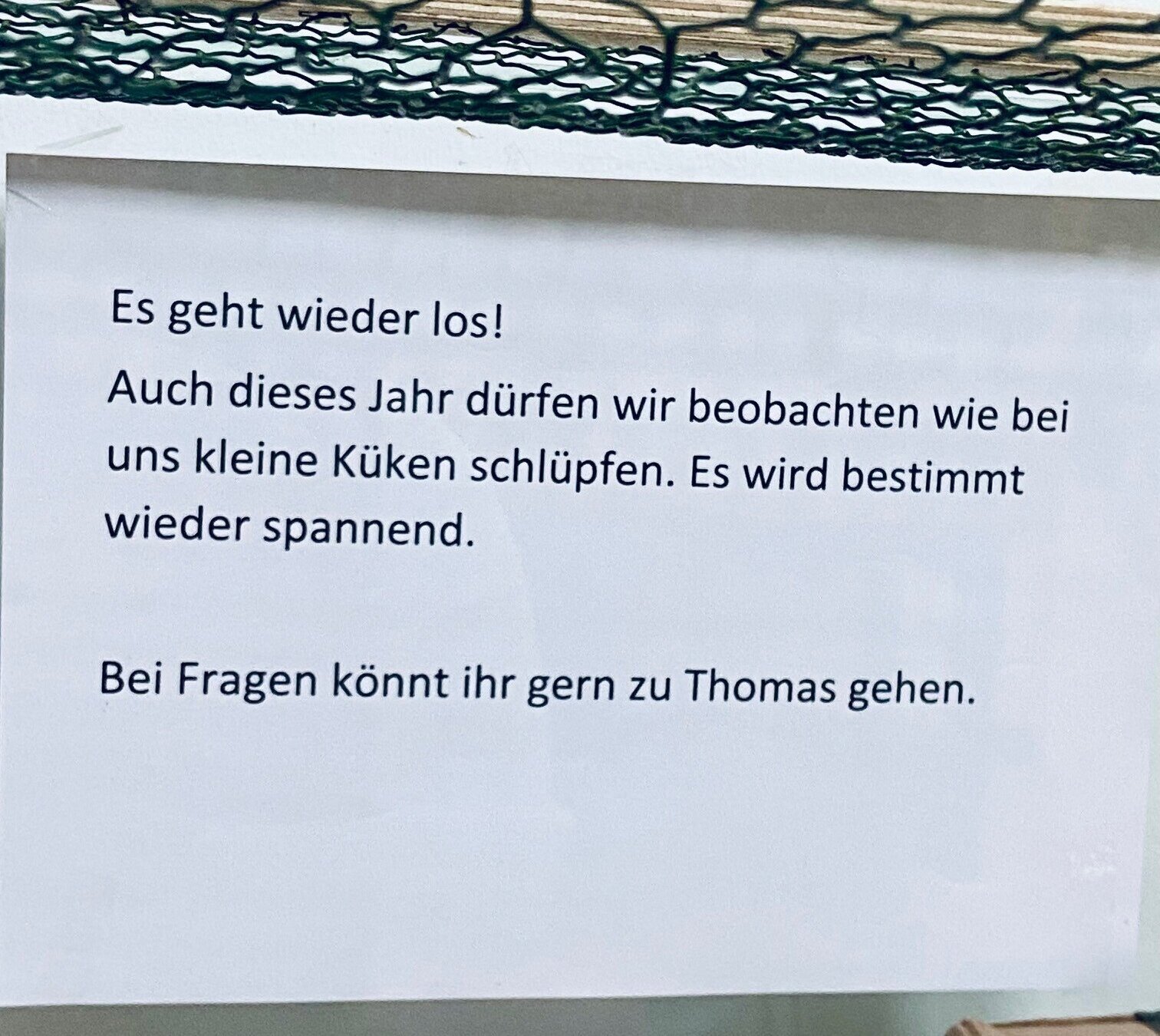 Auf einem weißen Blatt Papier steht in Schwarz: „Es geht wieder los! Auch dieses Jahr dürfen wir beobachten, wie bei uns kleine Küken schlüpfen. Es wird bestimmt wieder spannend. Bei Fragen könnt ihr gern zu Thomas gehen.“