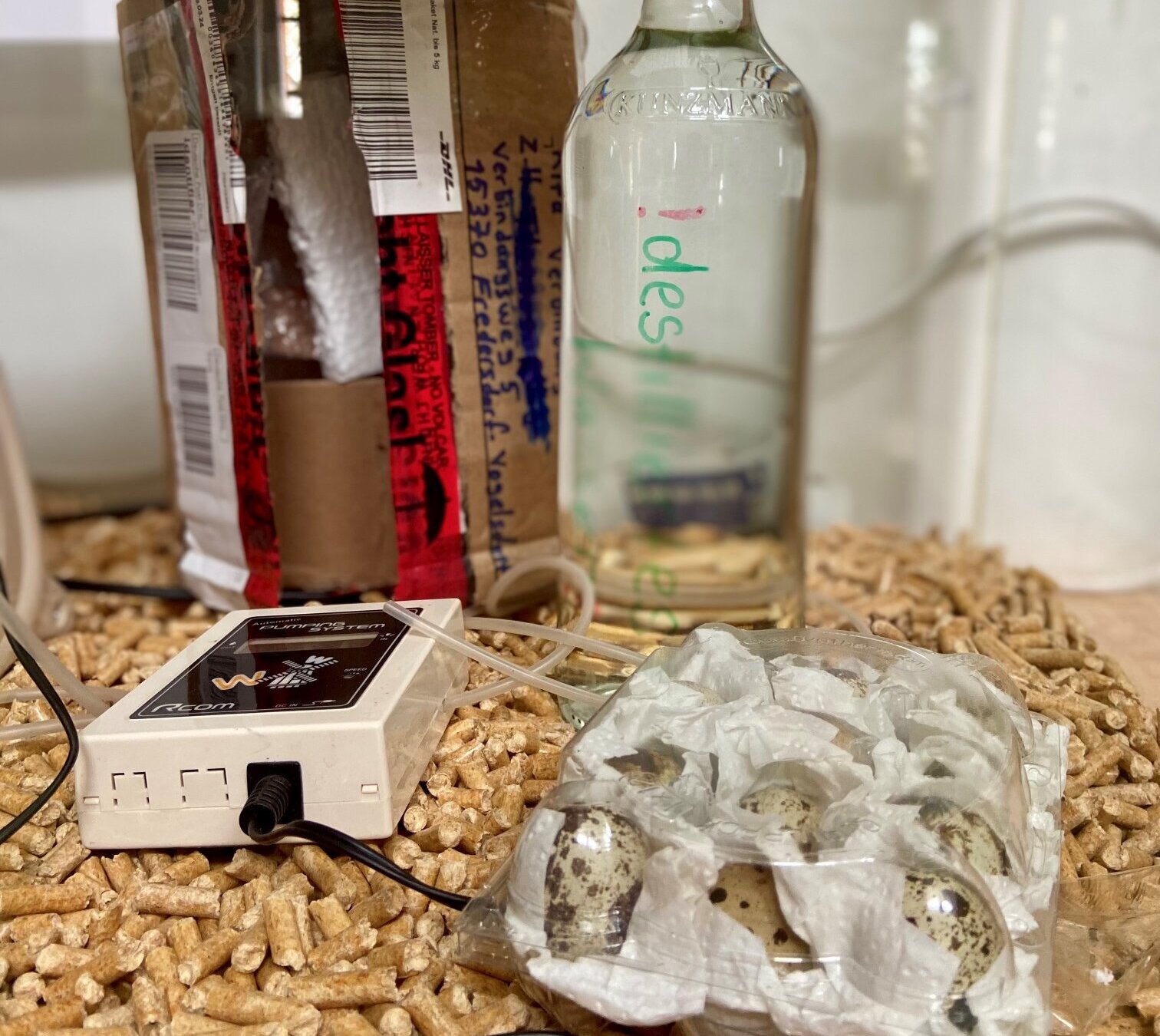 Vor dem geöffneten Transportkarton und einer durchsichtigen Glasflasche, befüllt mit destilliertem Wasser, liegen links ein Messgerät und rechts eine durchsichtige Plastikverpackung, ausgelegt mit Küchenpapier. Darin befinden sich Wachteleier.