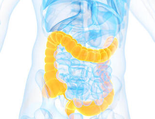 KIS Berlin-Pankow: Darmkrankheit, Selbsthilfegruppe für Betroffene