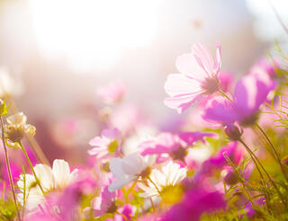 KIS Berlin-Pankow: Aphasie, Selbsthilfegruppe für Betroffene