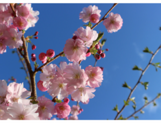 KIS Berlin-Pankow: Parkinson, Selbsthilfegruppe für Betroffene