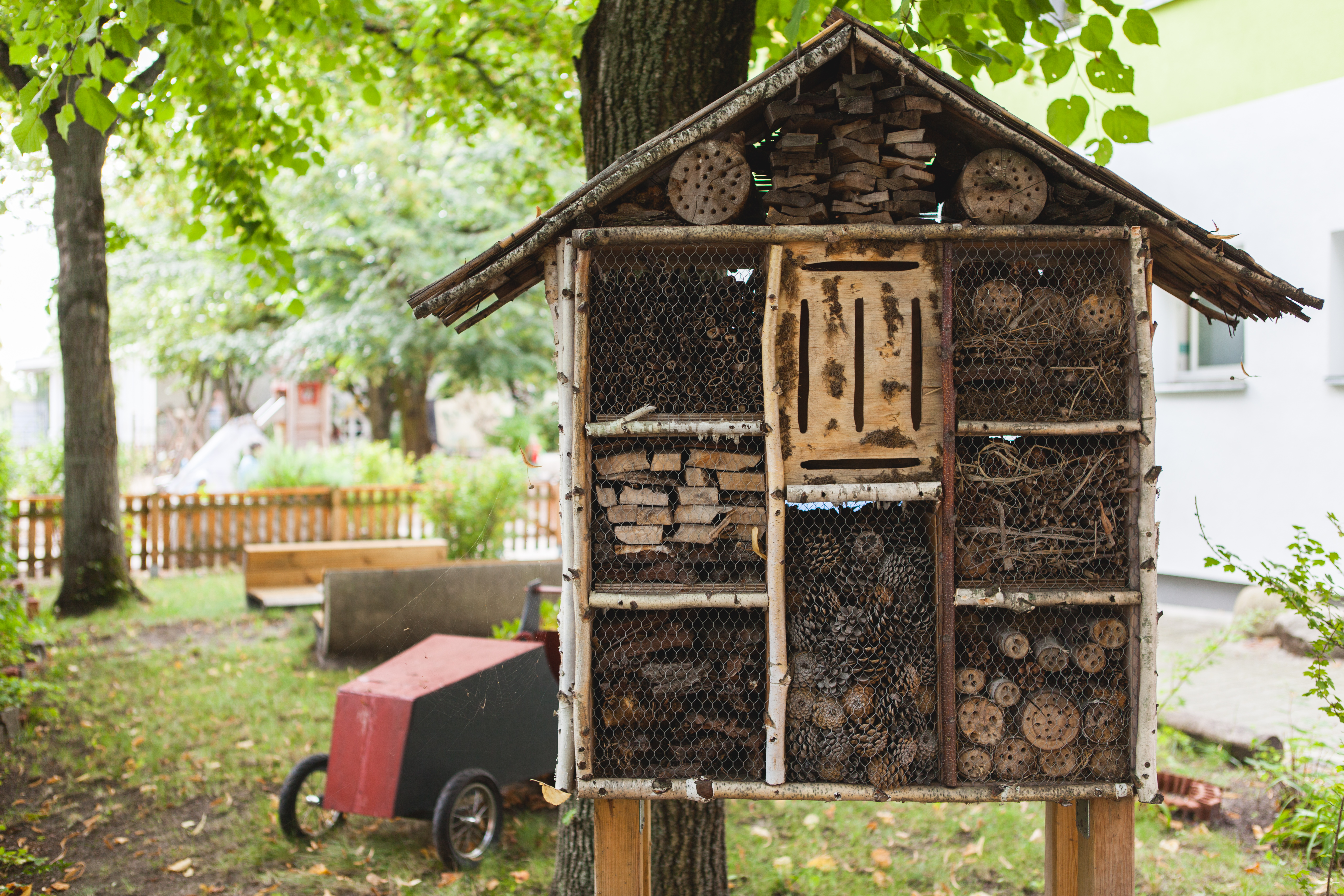 Foto Außenansicht Bienenhaus Kita Engelhardstraße