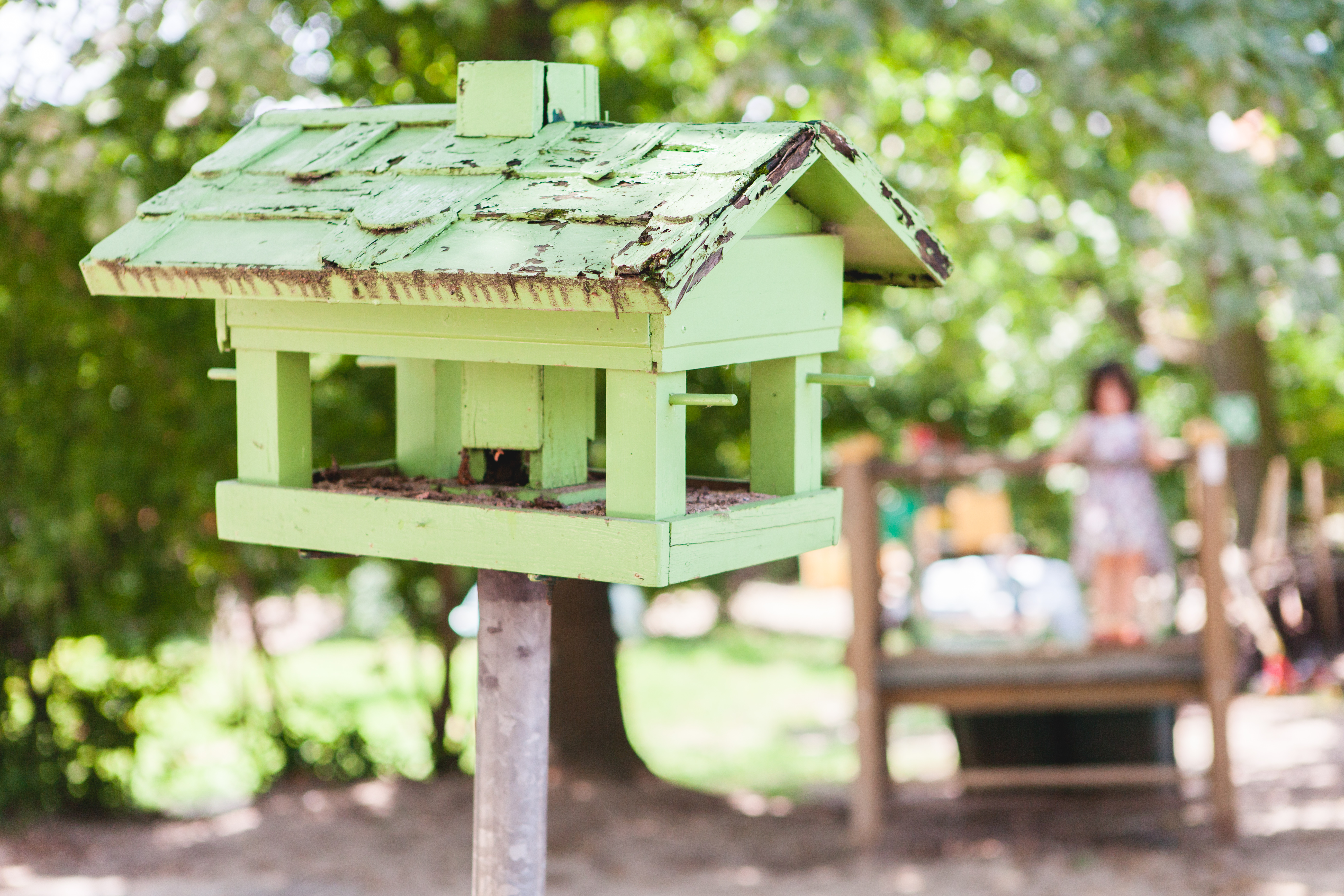 Foto Außenansicht grünes Vogelhaus Kita Holtheimer Weg