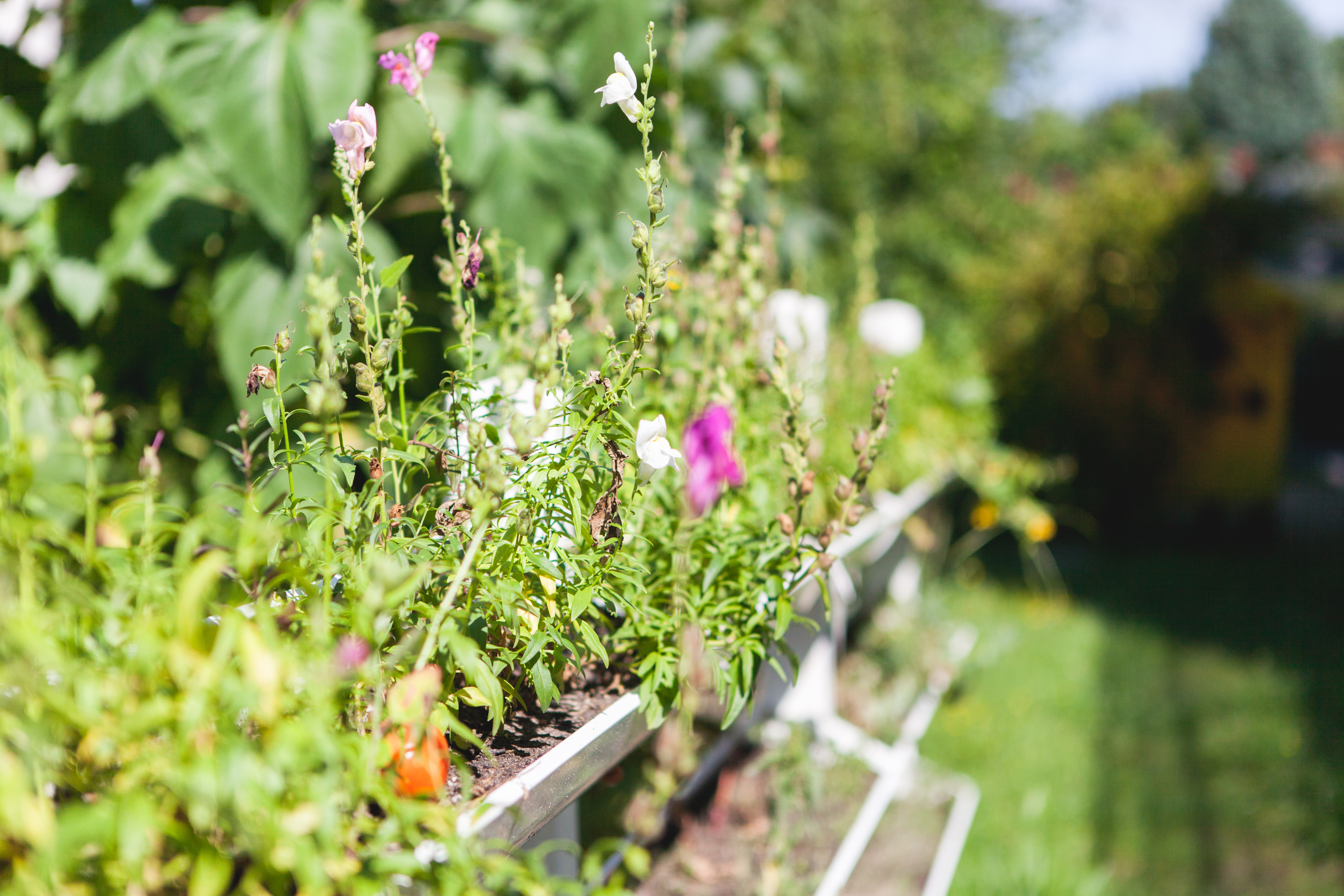Foto Außenansicht Garten Kita Landreiterweg