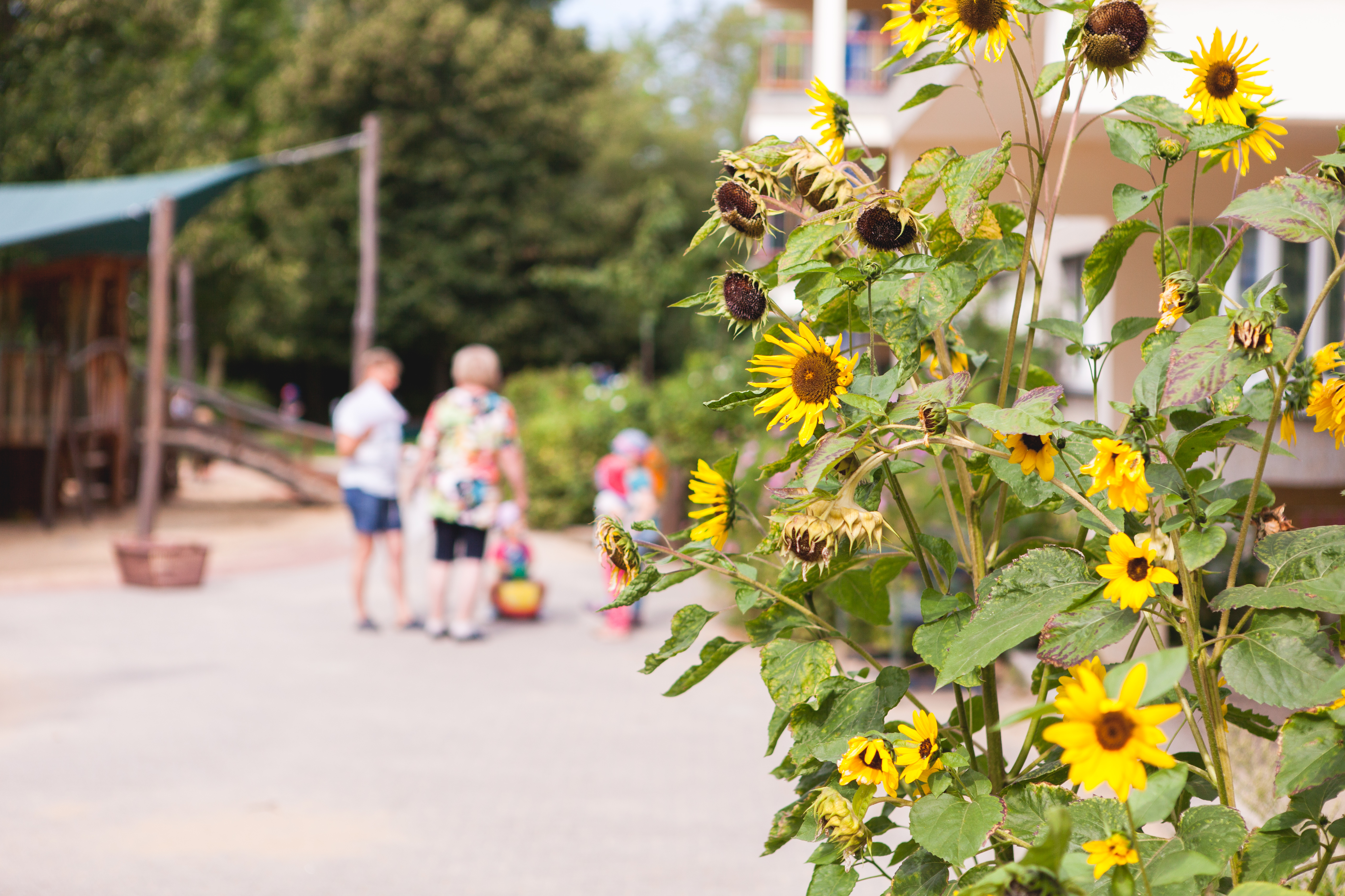 Foto Außenansicht Garten Kita Waldheimer Straße
