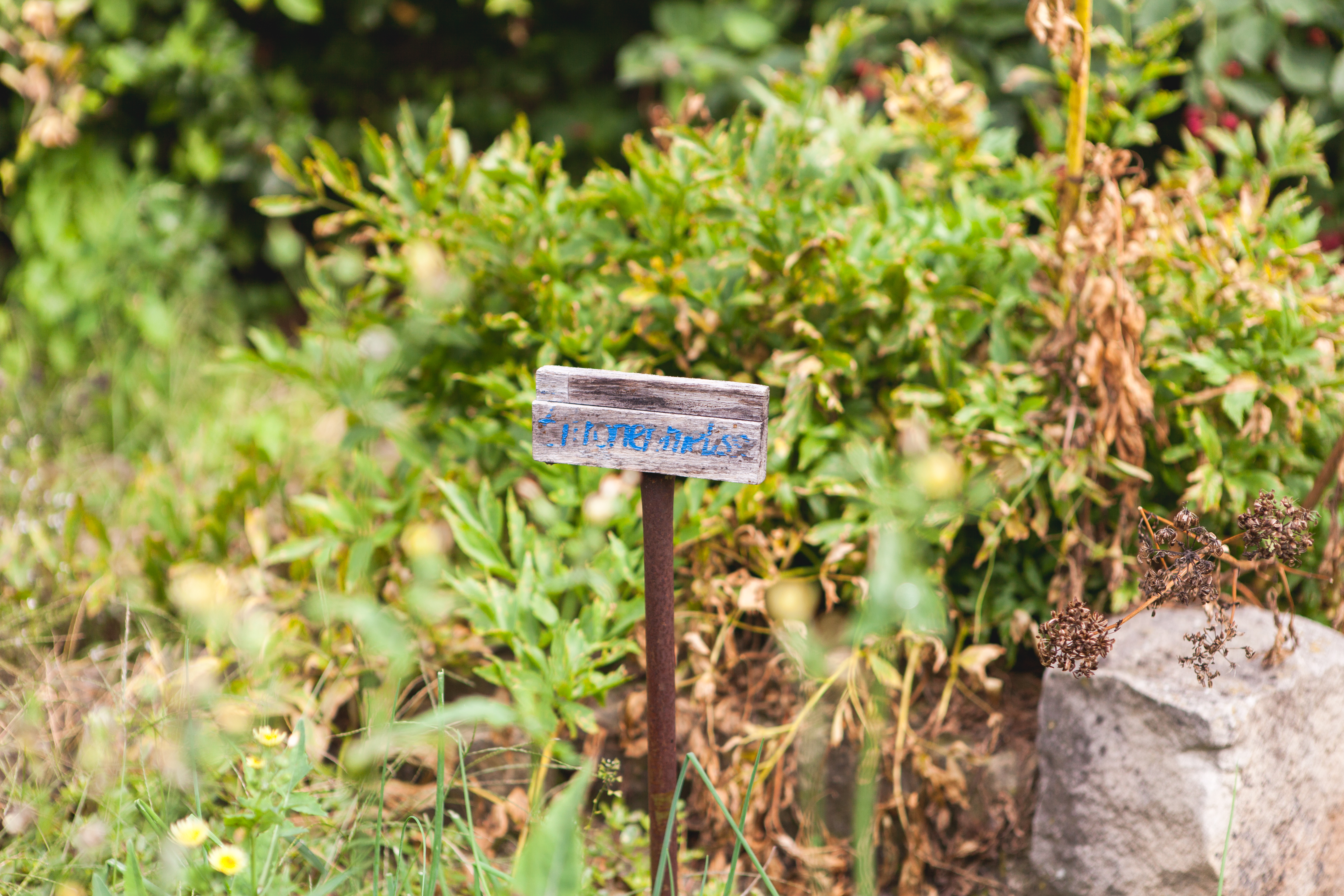 Foto Außenansicht Beet Kita Waldheimer Straße