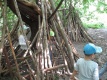Wir haben eine Hütte aus Baumstämmen gebaut. 