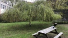 Sitzbank und Trampolin im Garten