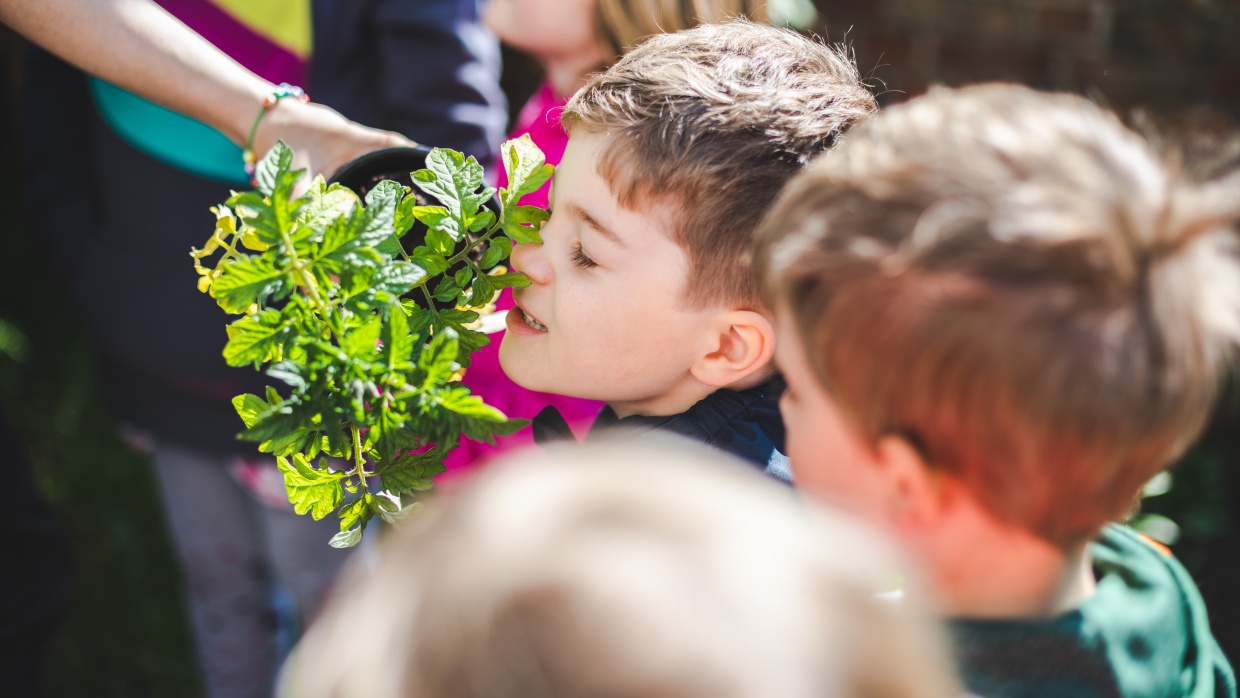 "Der Garten für die Sinne". Kinder möchten alles sinnlich erfahren: sie möchten Pflanzen anfassen, riechen und schmecken. 